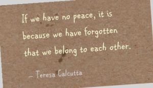 644777562-if-we-have-no-peace-it-is-because-we-have-forgotten-that-we-belong-to-each-other17