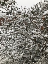 fuelthesoultoday snow4